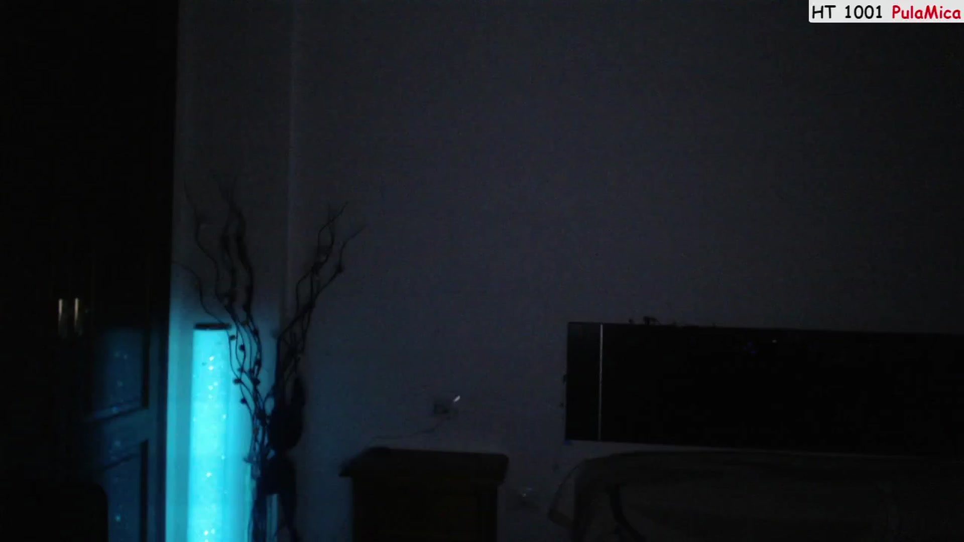 Gallery image thumbnail from Deeleerious's myfreecams stream on, 02/18/2023, 01:20 image 10 of 20