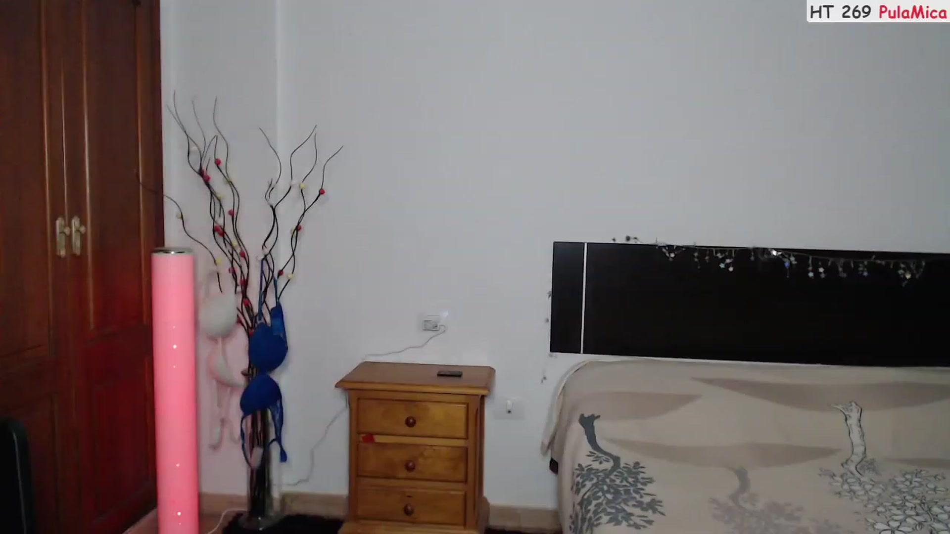 Gallery image thumbnail from Deeleerious's myfreecams stream on, 02/20/2023, 24:04 image 17 of 20