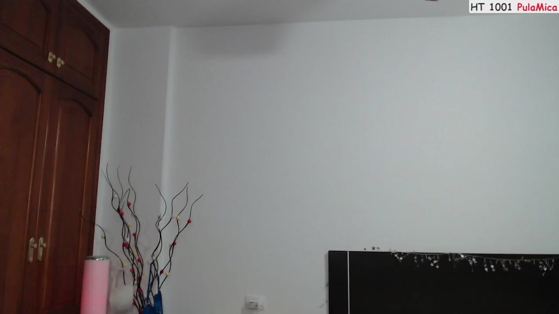 Gallery image thumbnail from Deeleerious's myfreecams stream on, 02/20/2023, 01:17 image 18 of 20