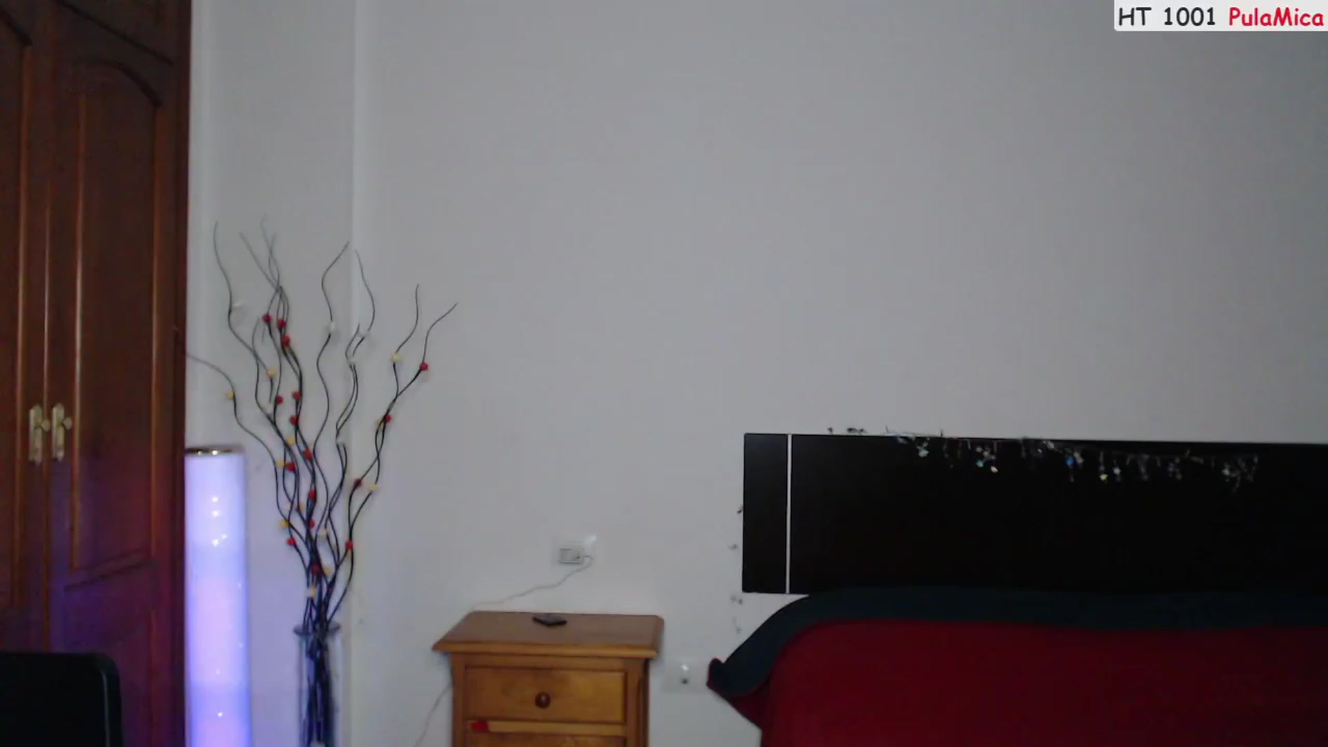 Gallery image thumbnail from Deeleerious's myfreecams stream on, 03/05/2023, 02:01 image 5 of 20