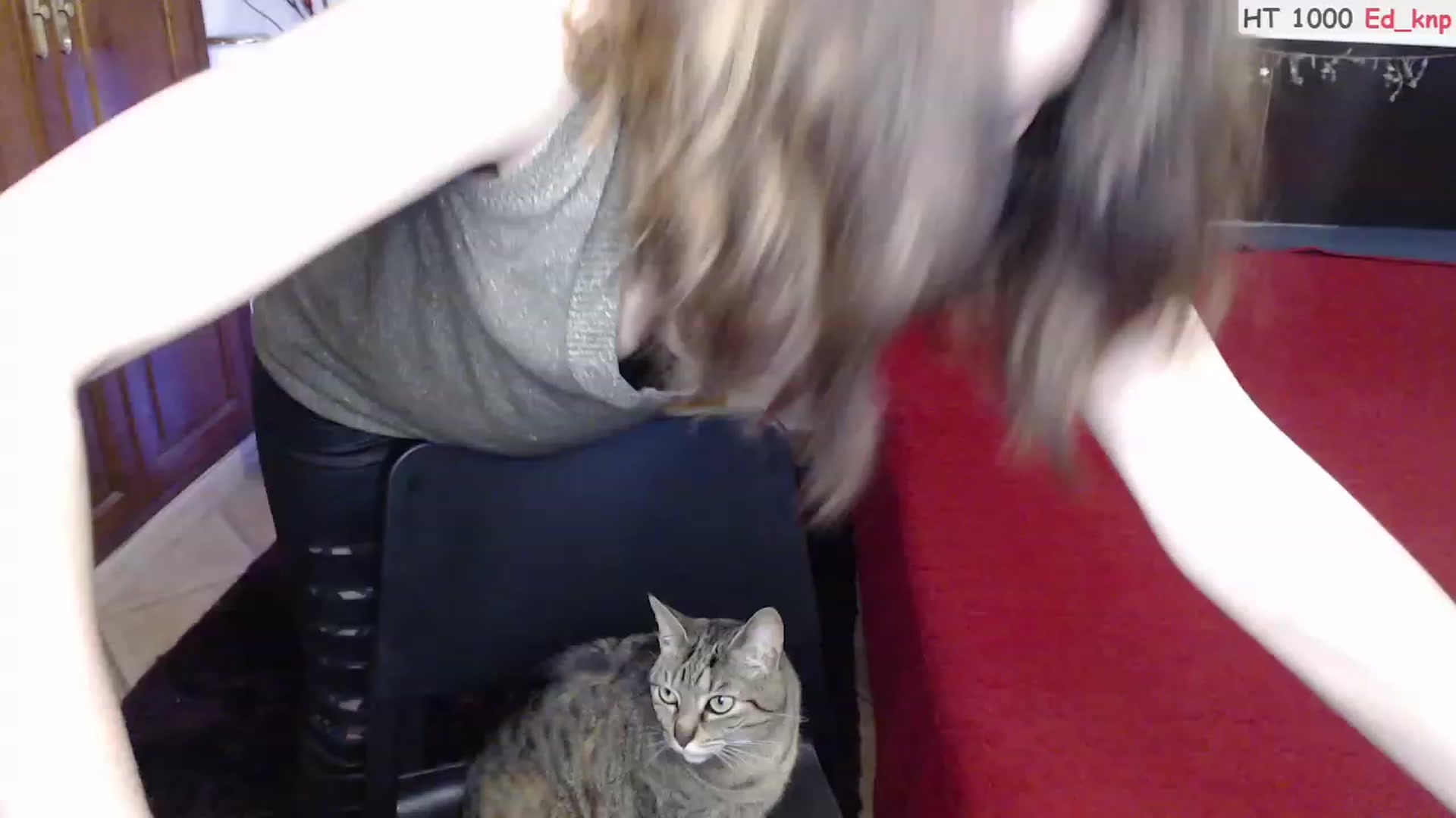 Gallery image thumbnail from Deeleerious's myfreecams stream on, 03/08/2023, 01:30 image 9 of 20