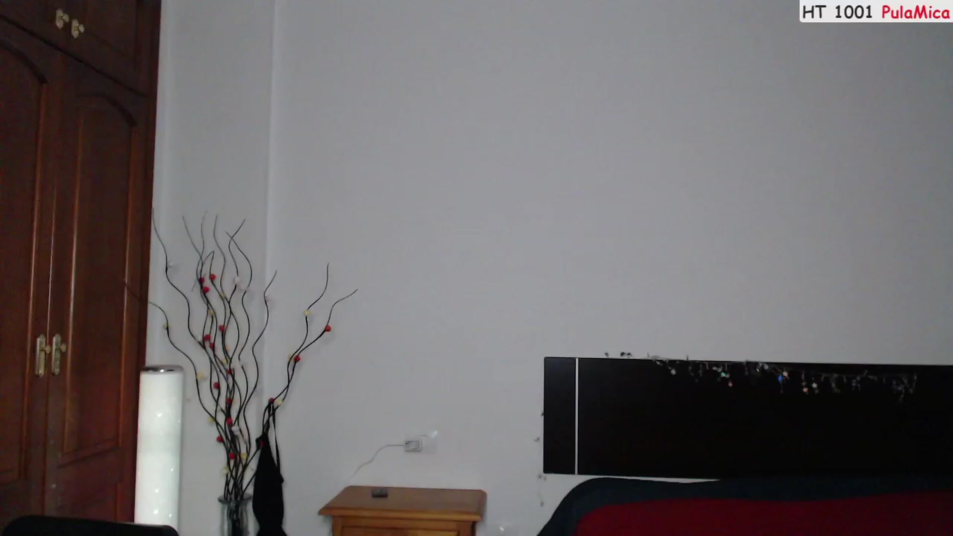 Gallery image thumbnail from Deeleerious's myfreecams stream on, 03/18/2023, 24:02 image 9 of 20