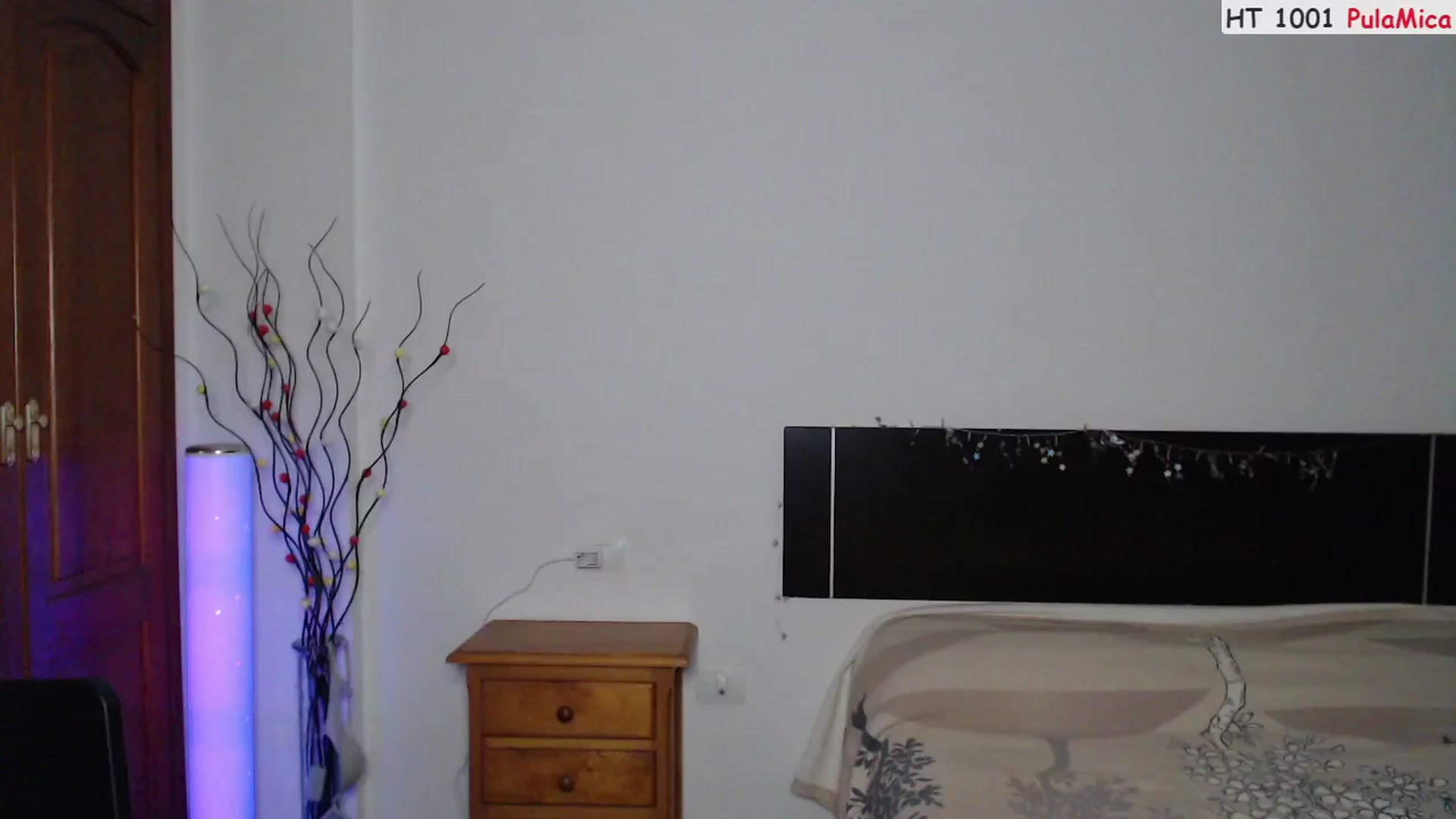 Gallery image thumbnail from Deeleerious's myfreecams stream on, 04/07/2023, 23:36 image 14 of 20