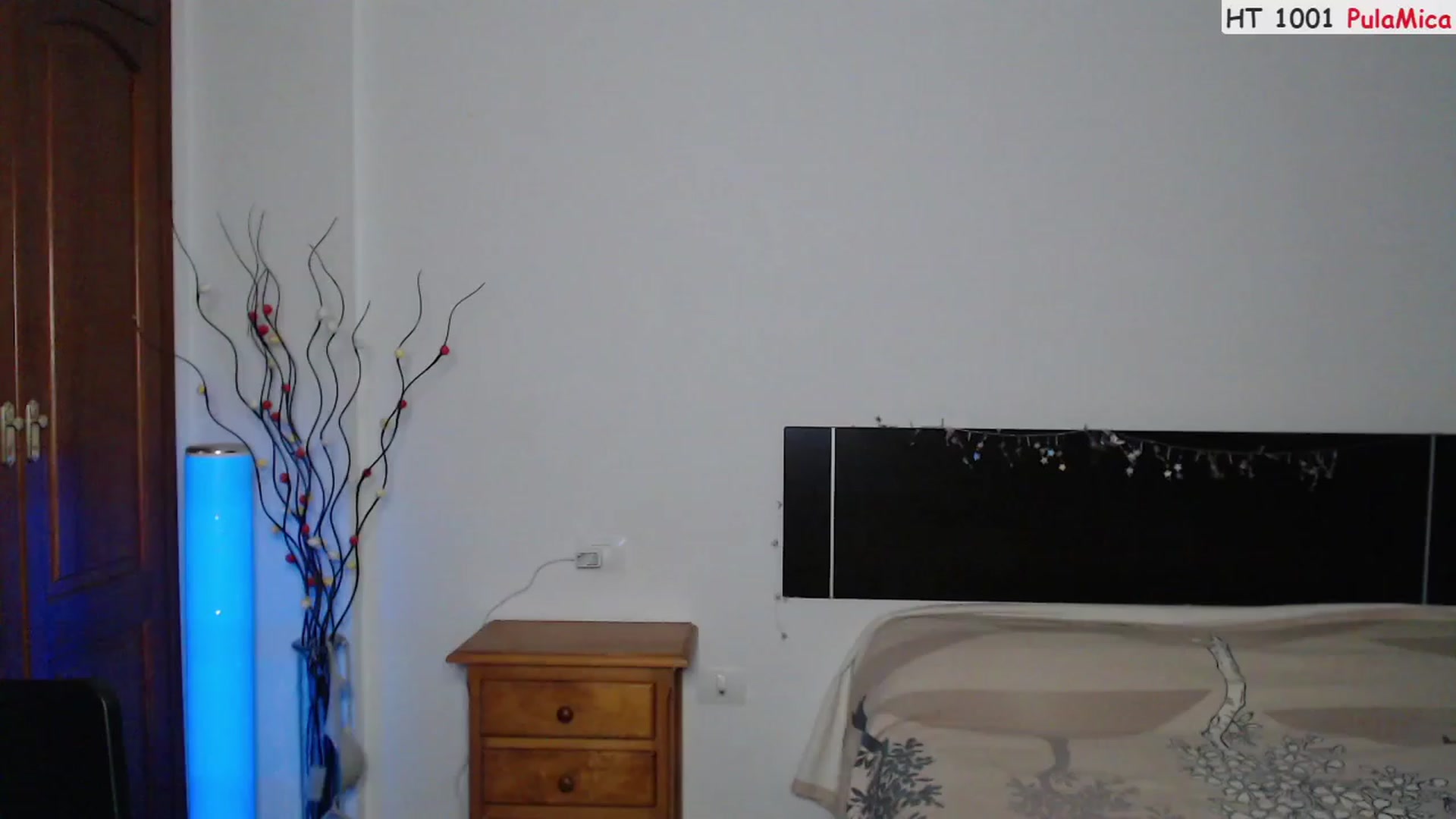 Gallery image thumbnail from Deeleerious's myfreecams stream on, 04/07/2023, 23:36 image 13 of 20