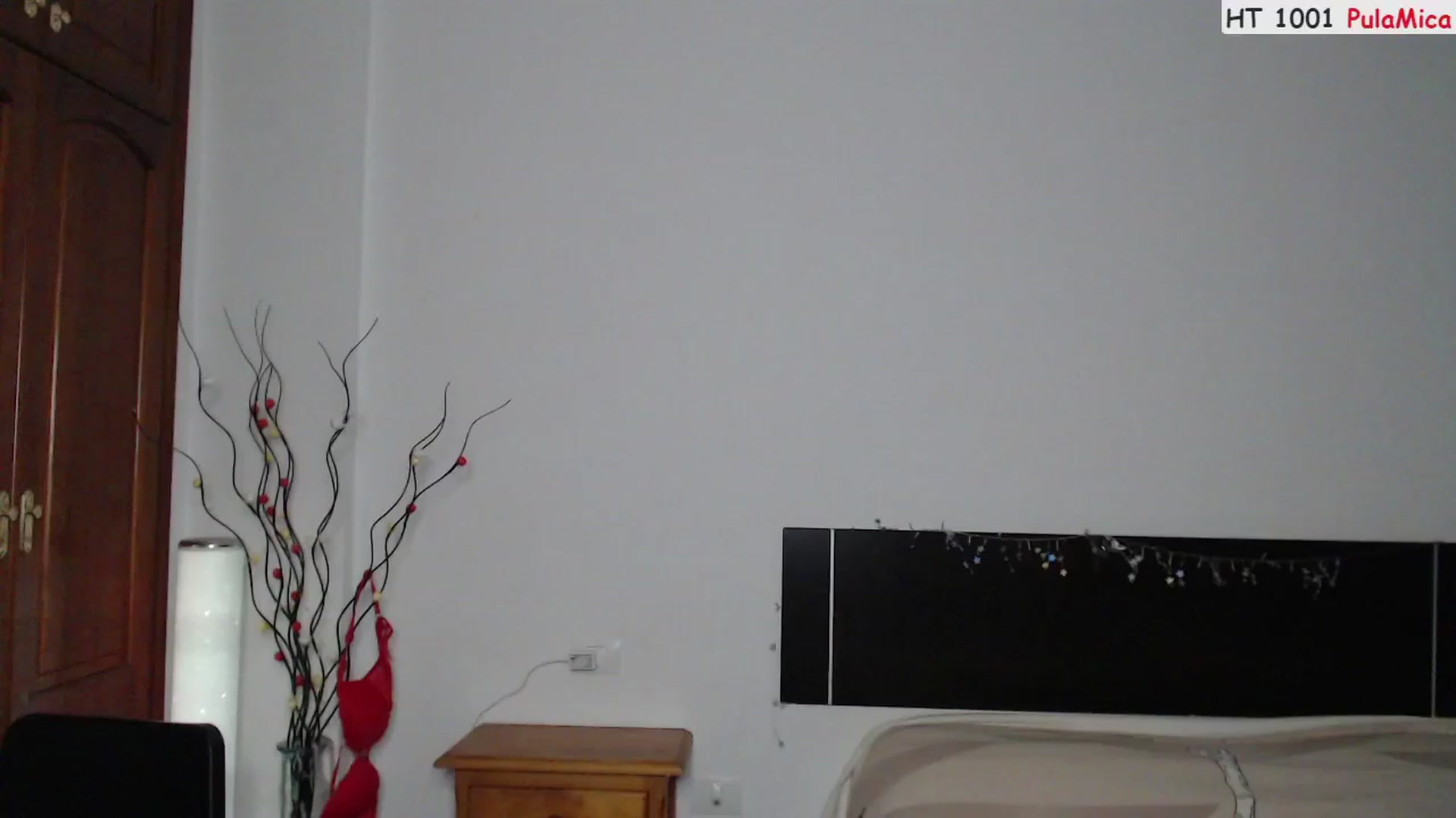 Gallery image thumbnail from Deeleerious's myfreecams stream on, 04/08/2023, 01:04 image 6 of 20