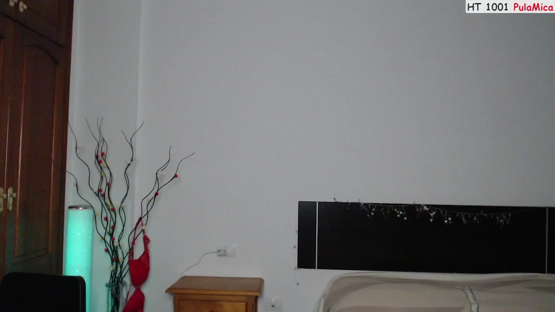 Gallery image thumbnail from Deeleerious's myfreecams stream on, 04/08/2023, 01:04 image 5 of 20