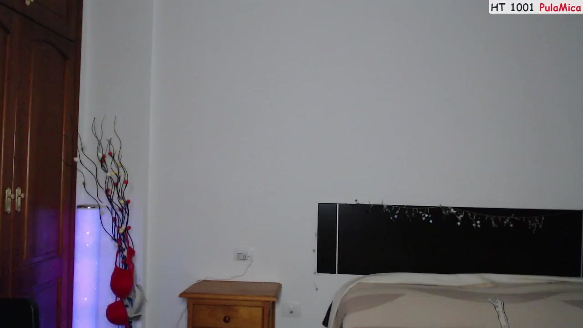 Gallery image thumbnail from Deeleerious's myfreecams stream on, 04/08/2023, 23:23 image 19 of 20