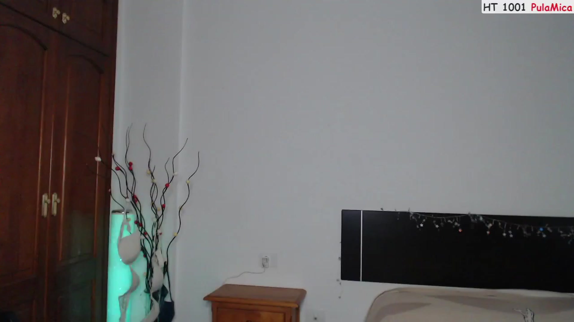 Gallery image thumbnail from Deeleerious's myfreecams stream on, 05/27/2023, 23:38 image 9 of 20