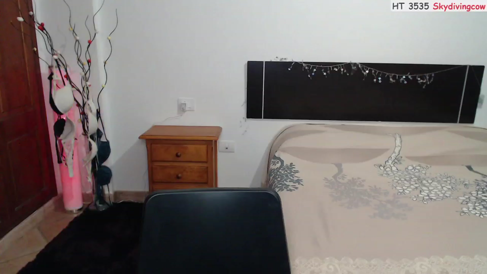 Gallery image thumbnail from Deeleerious's myfreecams stream on, 05/30/2023, 23:40 image 2 of 20