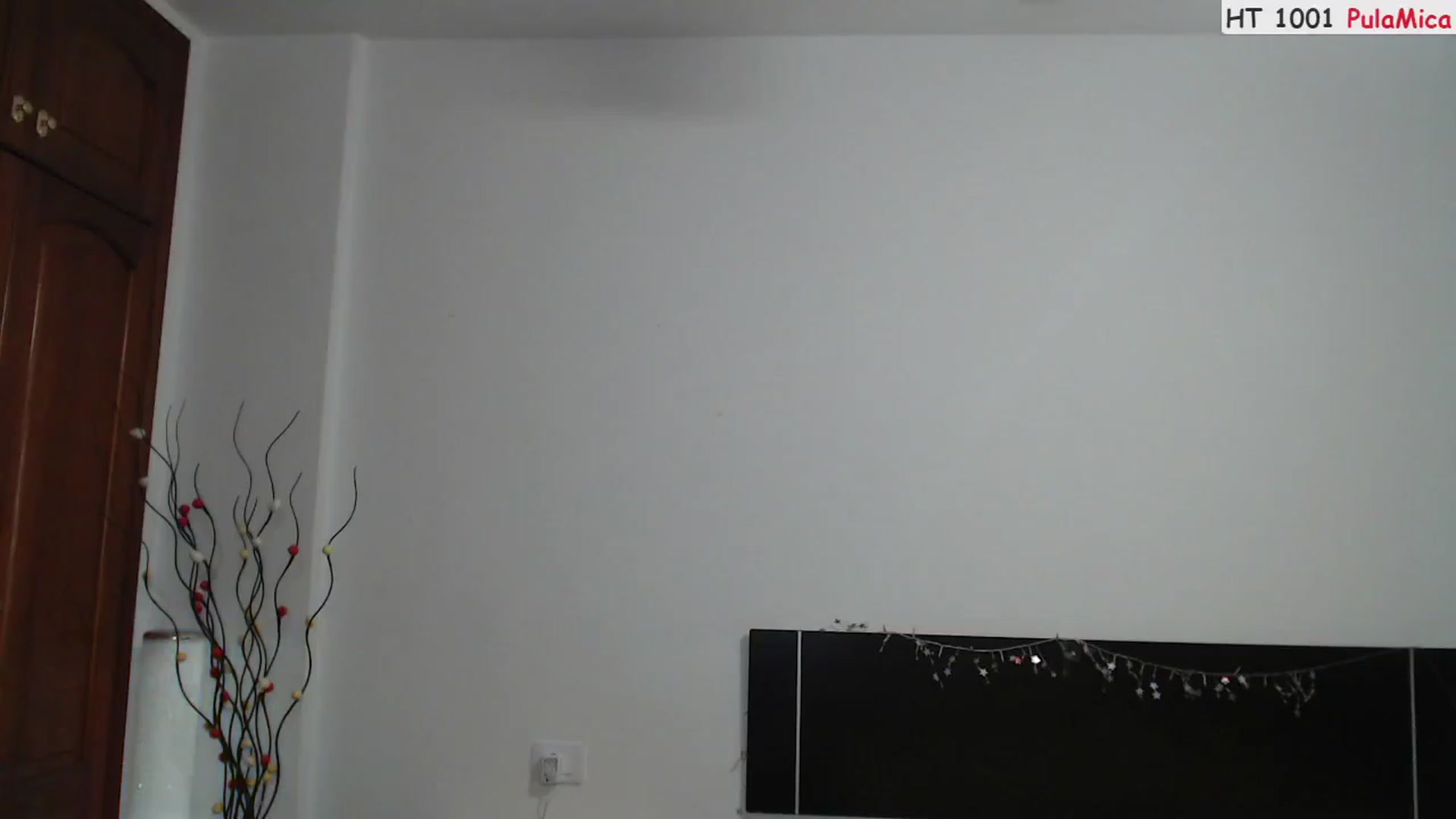 Gallery image thumbnail from Deeleerious's myfreecams stream on, 06/10/2023, 23:43 image 18 of 20