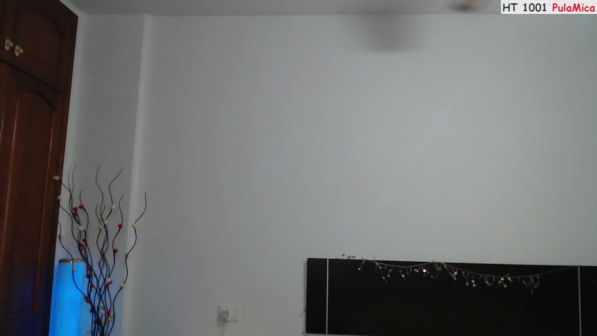 Gallery image thumbnail from Deeleerious's myfreecams stream on, 06/10/2023, 23:43 image 17 of 20