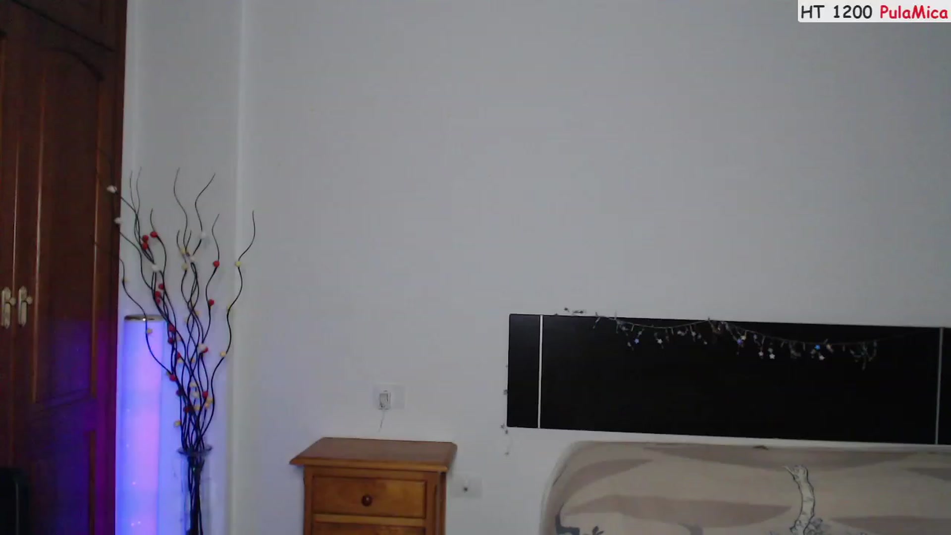 Gallery image thumbnail from Deeleerious's myfreecams stream on, 06/11/2023, 01:36 image 13 of 20