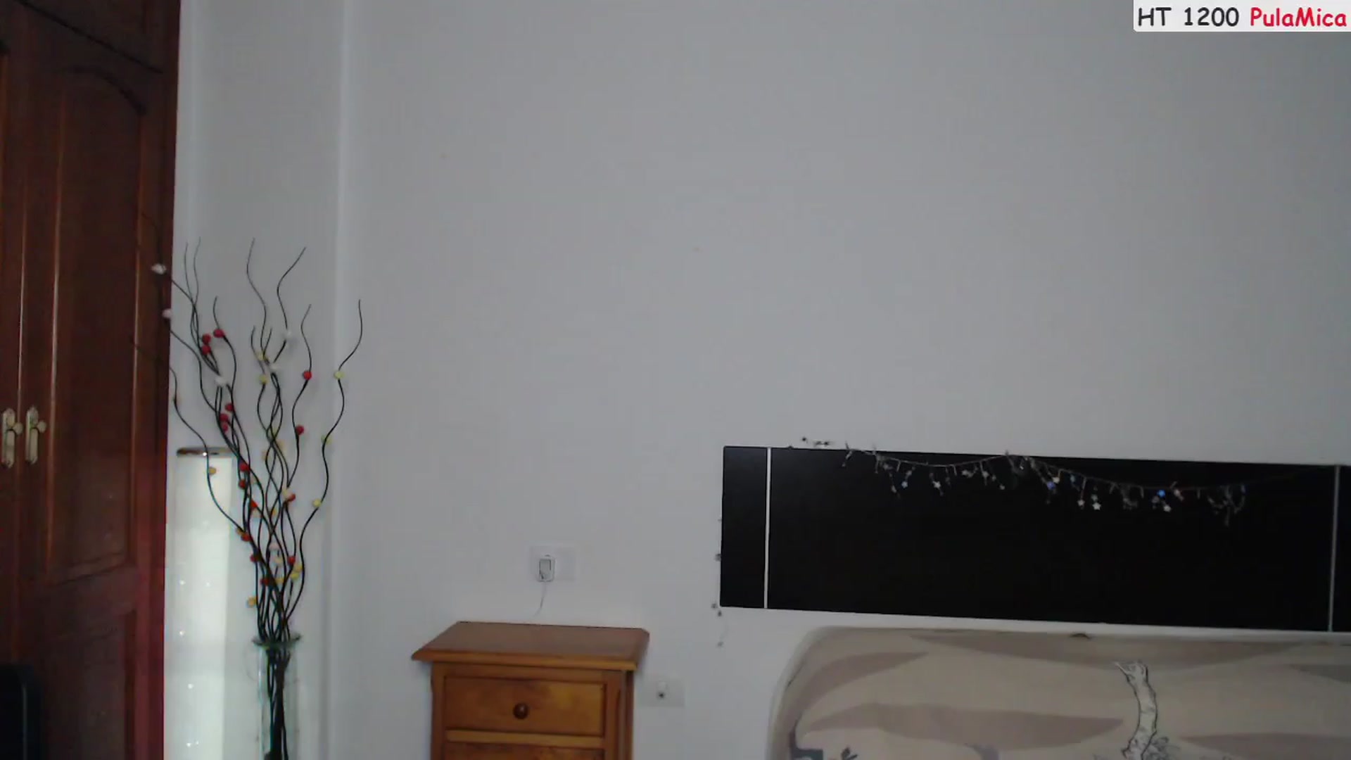 Gallery image thumbnail from Deeleerious's myfreecams stream on, 06/11/2023, 01:36 image 14 of 20