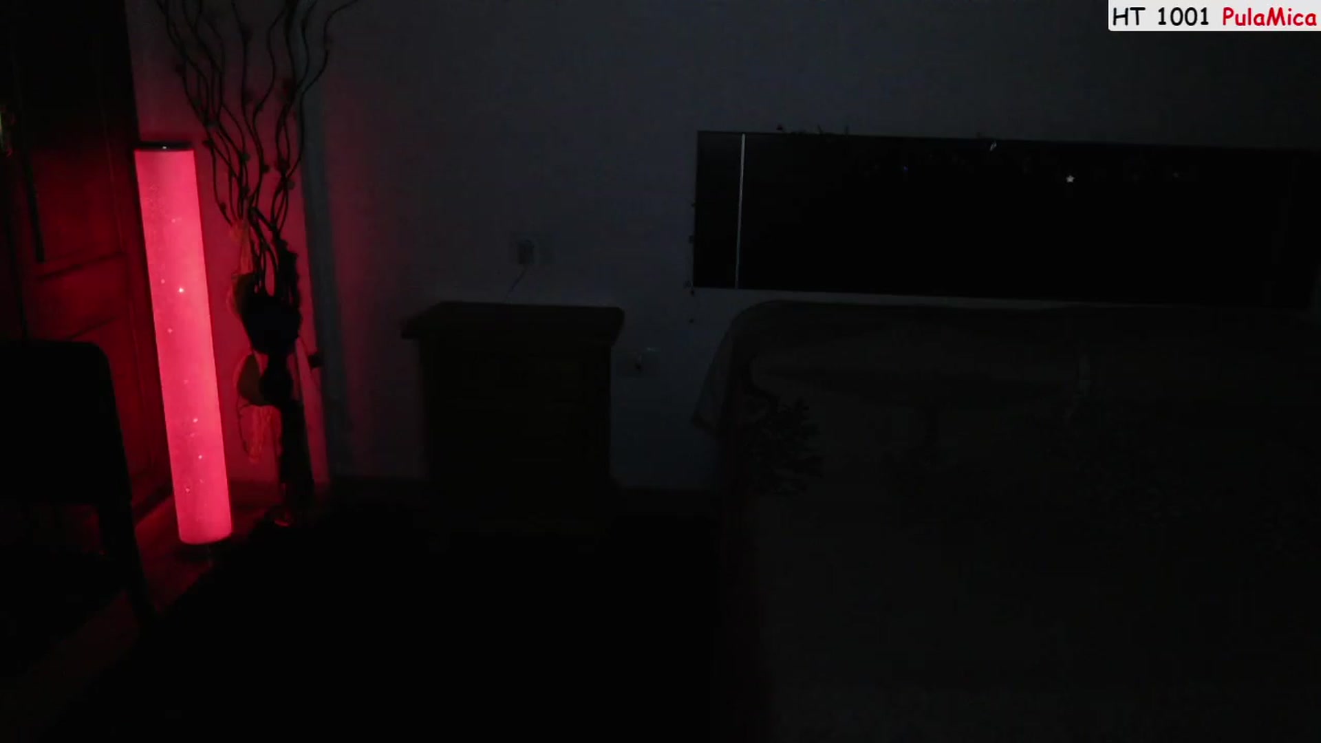 Gallery image thumbnail from Deeleerious's myfreecams stream on, 06/25/2023, 01:04 image 12 of 20