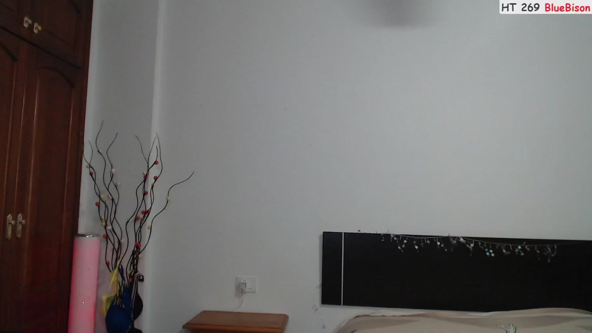 Gallery image thumbnail from Deeleerious's myfreecams stream on, 06/28/2023, 24:43 image 8 of 20