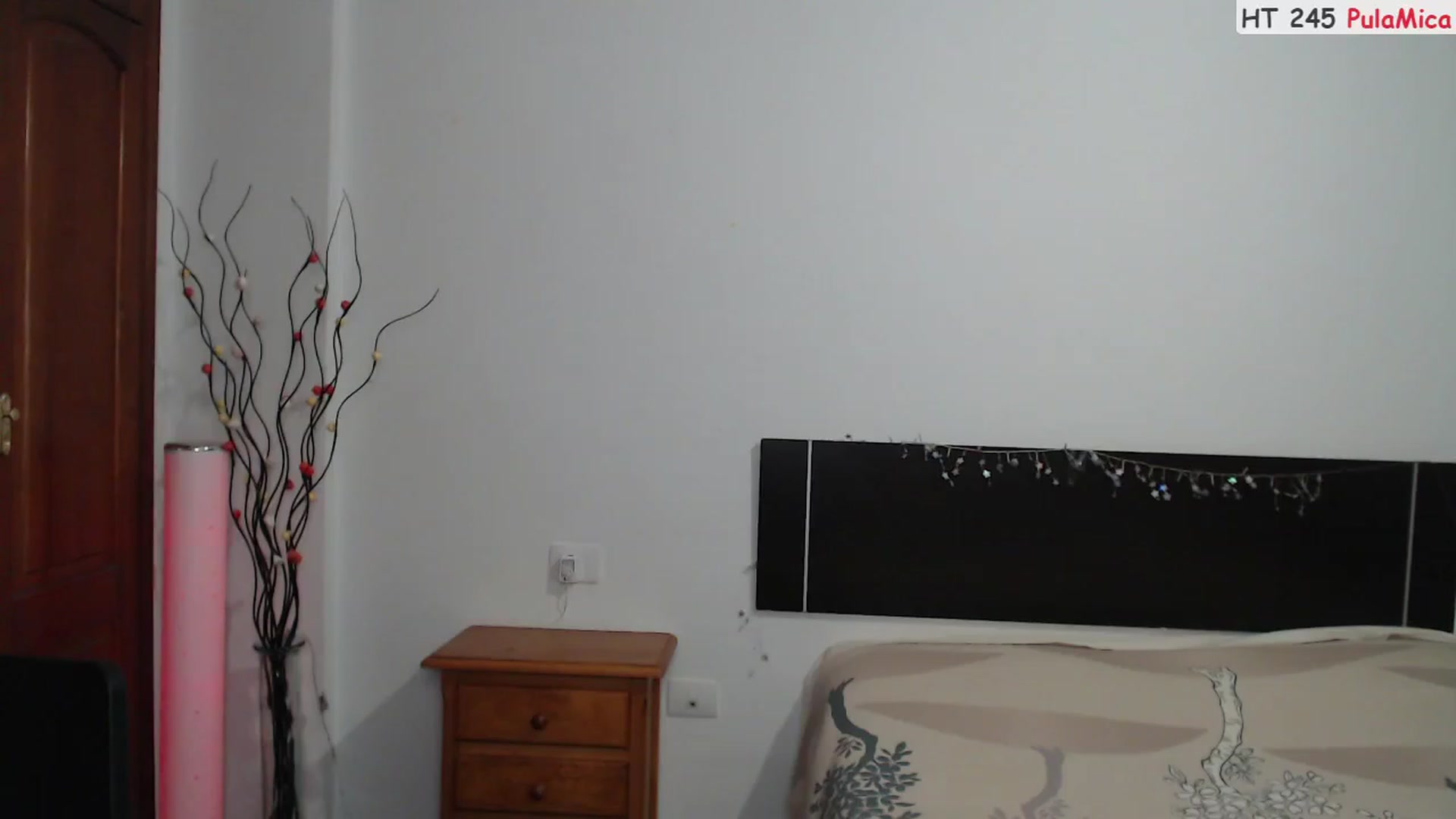 Gallery image thumbnail from Deeleerious's myfreecams stream on, 07/03/2023, 24:04 image 11 of 20