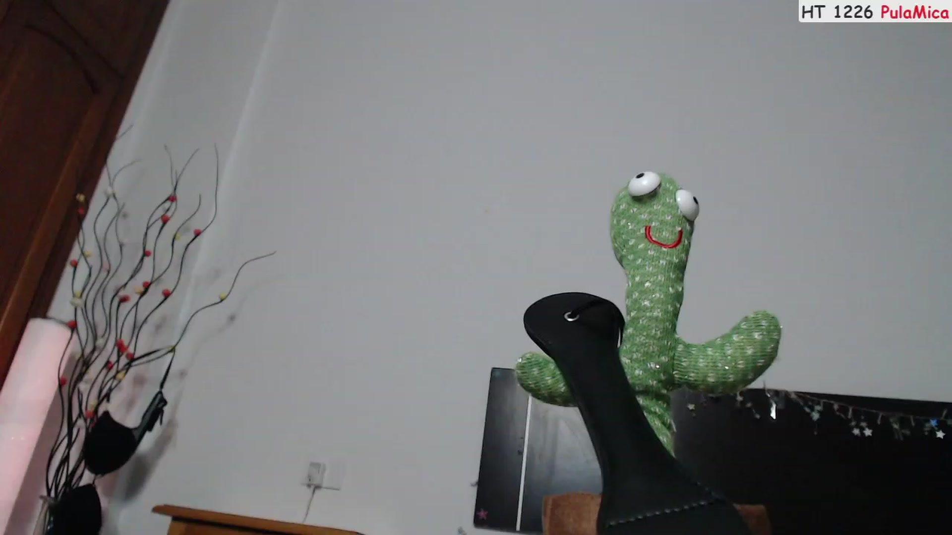 Gallery image thumbnail from Deeleerious's myfreecams stream on, 07/05/2023, 24:47 image 17 of 20