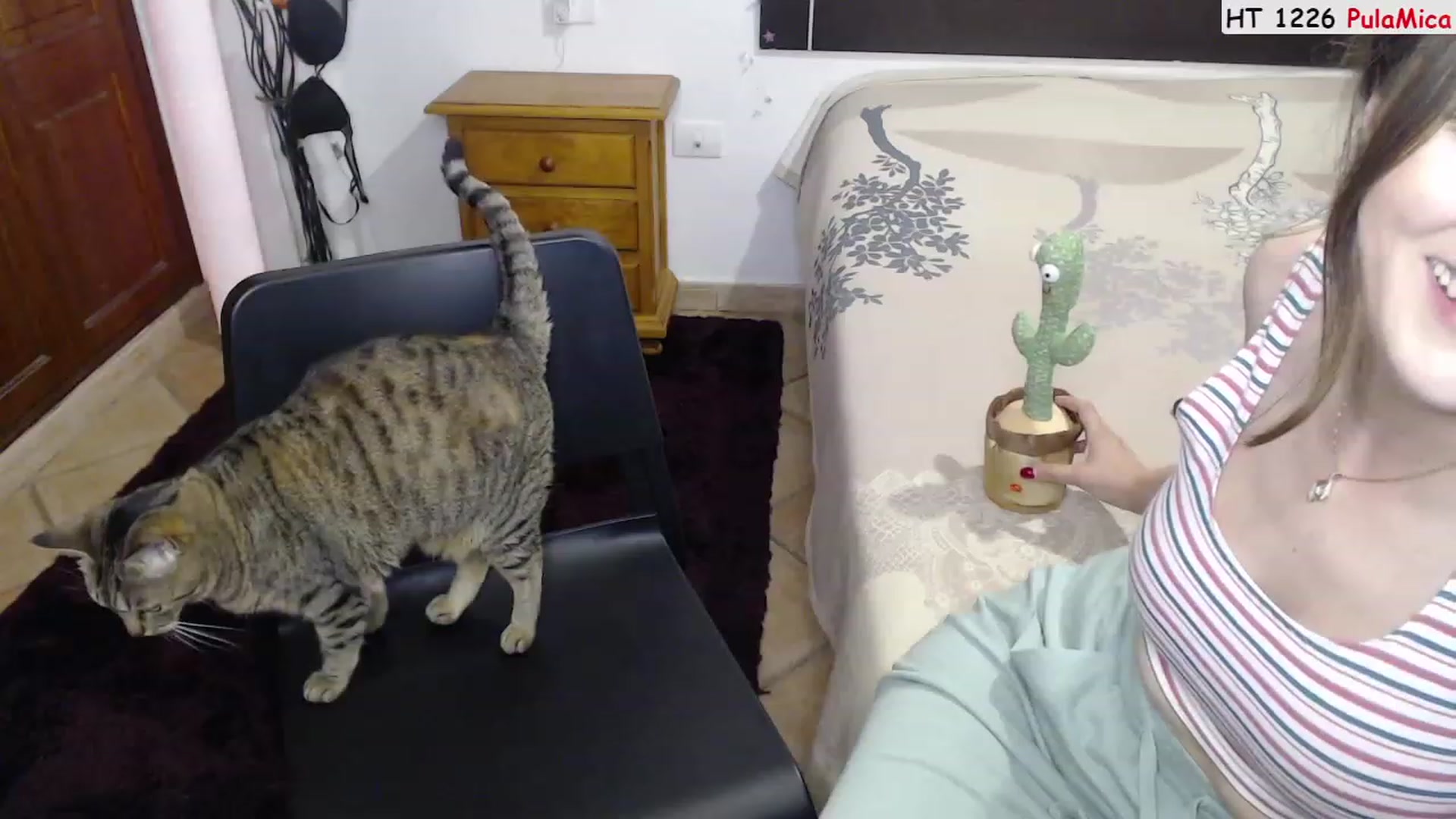 Gallery image thumbnail from Deeleerious's myfreecams stream on, 07/05/2023, 24:47 image 18 of 20