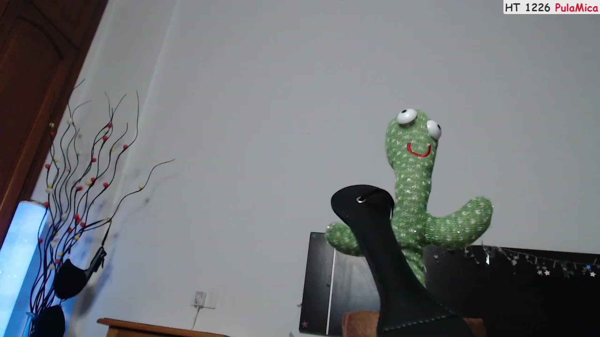 Gallery image thumbnail from Deeleerious's myfreecams stream on, 07/05/2023, 24:47 image 15 of 20