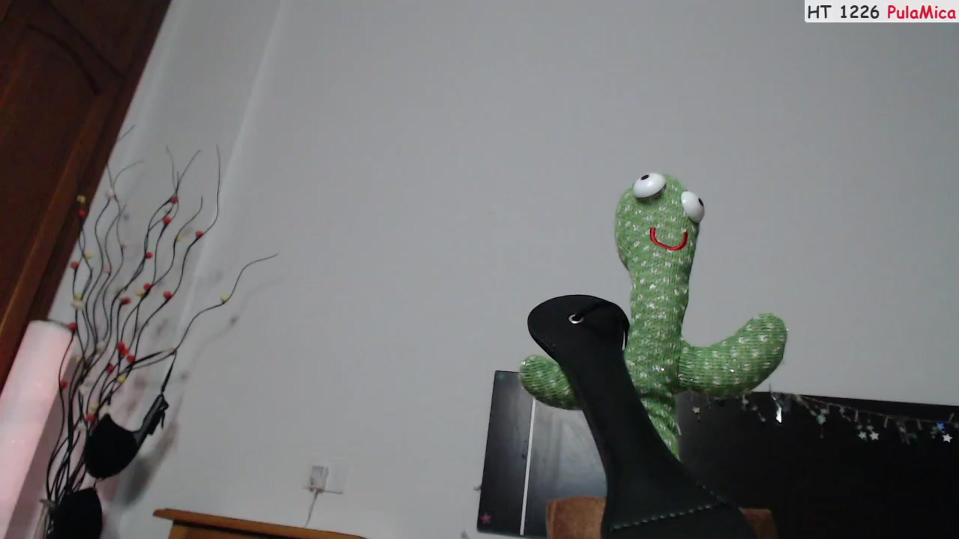 Gallery image thumbnail from Deeleerious's myfreecams stream on, 07/05/2023, 24:47 image 16 of 20