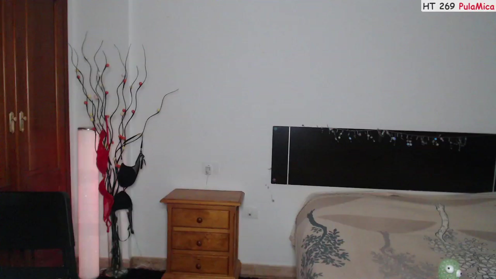 Gallery image thumbnail from Deeleerious's myfreecams stream on, 07/09/2023, 23:32 image 17 of 20