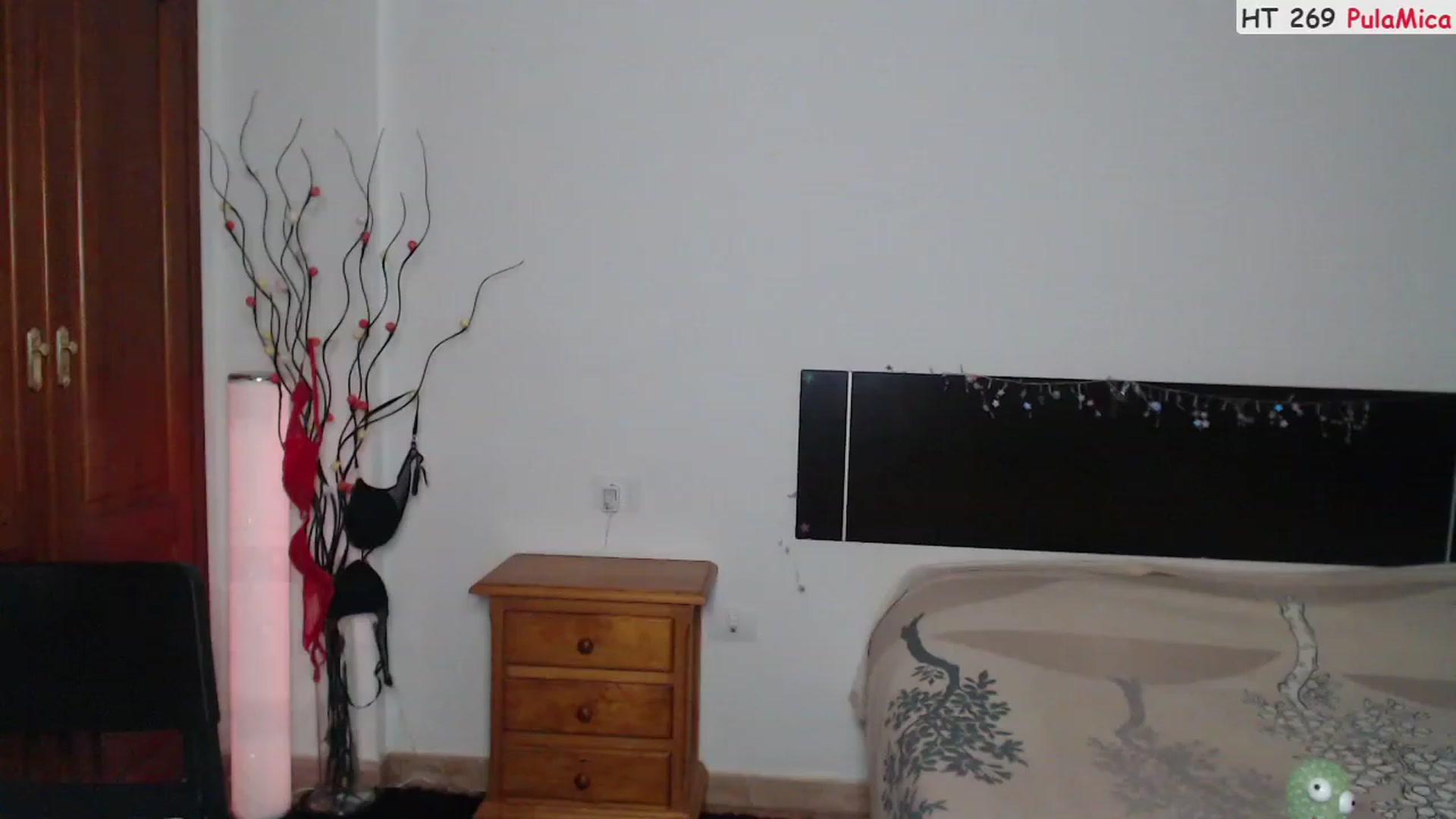 Gallery image thumbnail from Deeleerious's myfreecams stream on, 07/09/2023, 23:32 image 19 of 20