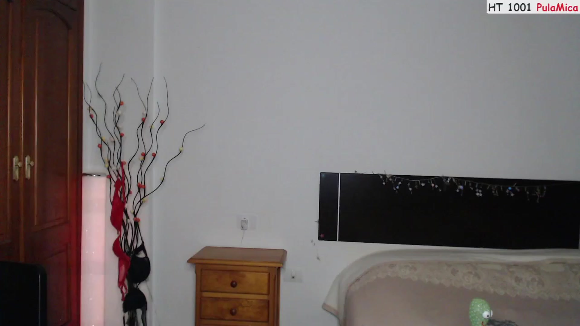 Gallery image thumbnail from Deeleerious's myfreecams stream on, 07/23/2023, 24:03 image 8 of 20