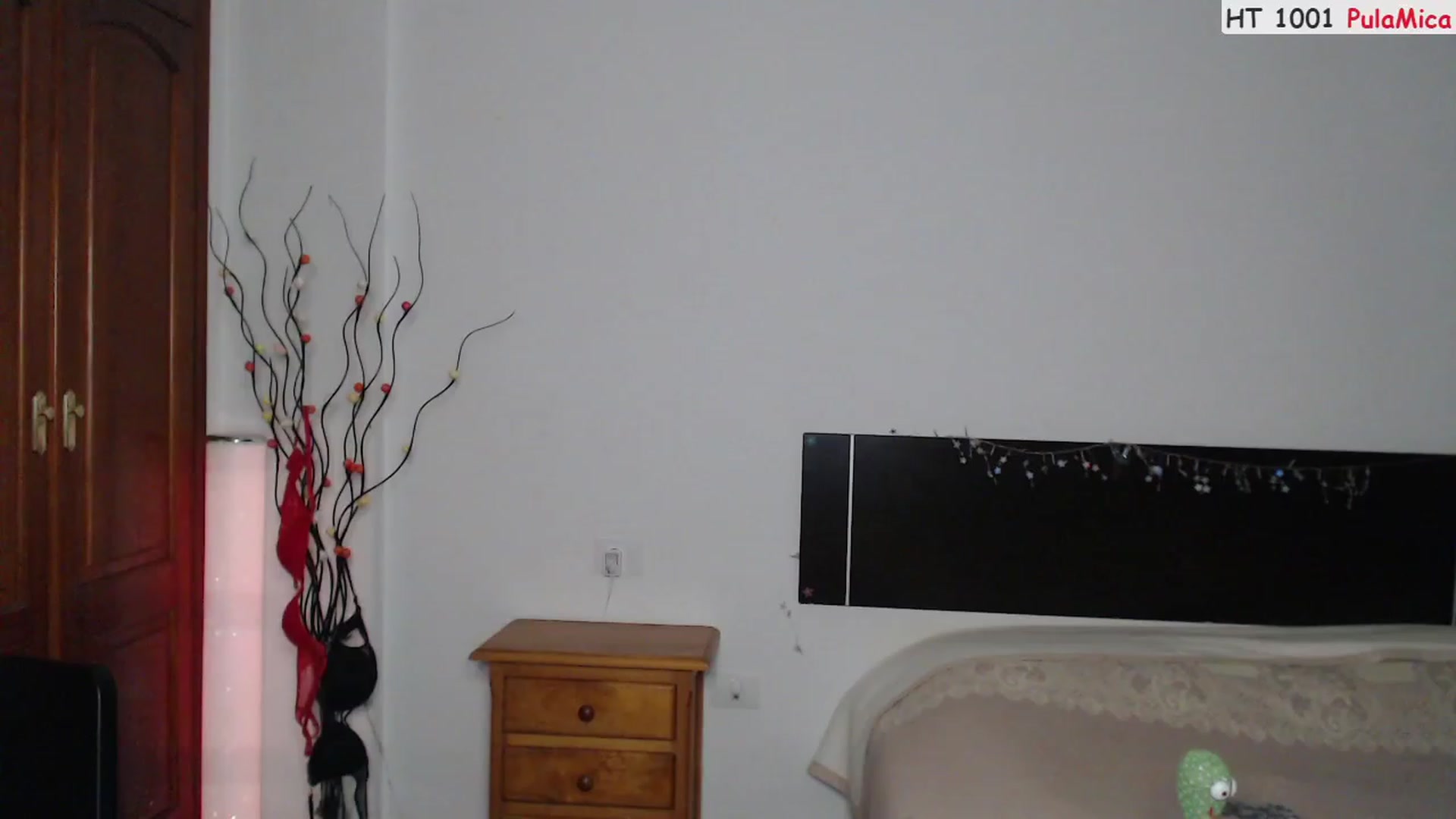 Gallery image thumbnail from Deeleerious's myfreecams stream on, 07/23/2023, 24:03 image 10 of 20