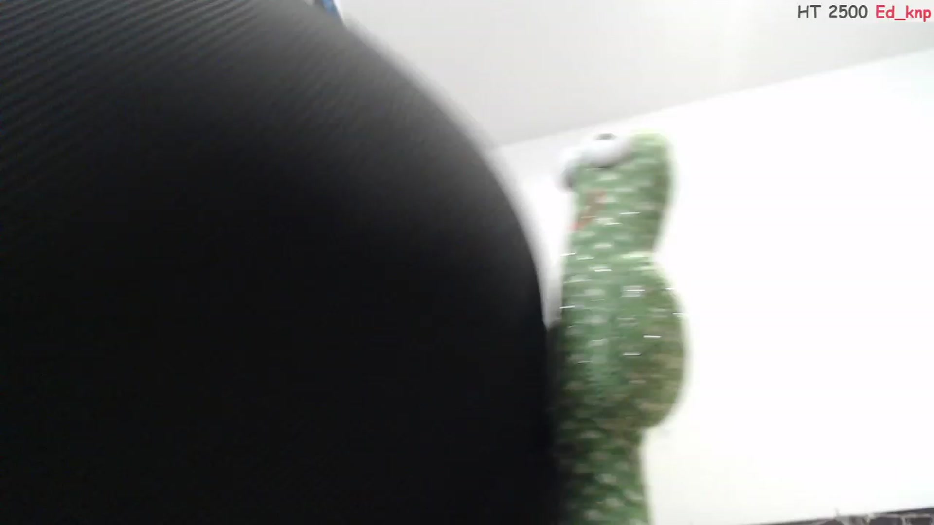 Gallery image thumbnail from Deeleerious's myfreecams stream on, 07/29/2023, 24:20 image 13 of 20