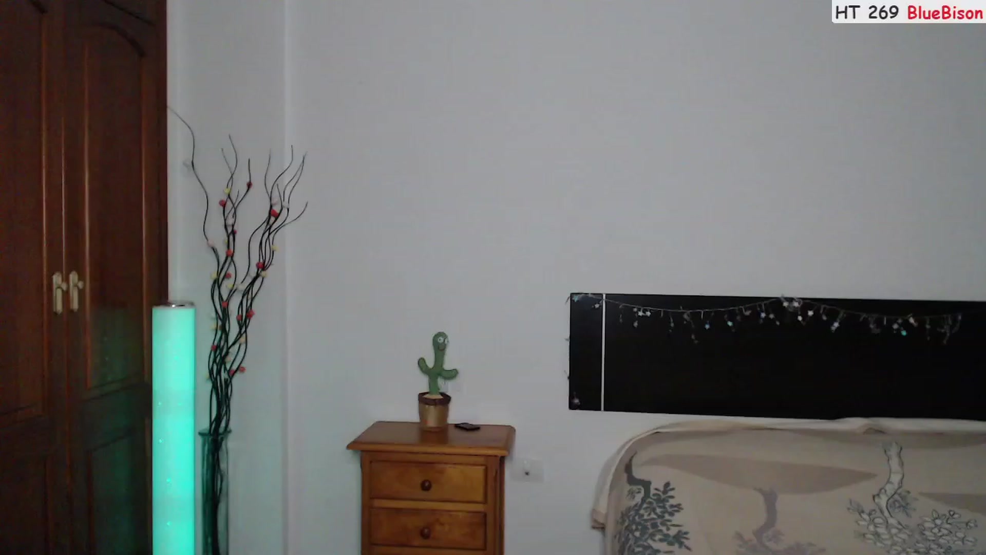 Gallery image thumbnail from Deeleerious's myfreecams stream on, 08/12/2023, 23:52 image 2 of 20