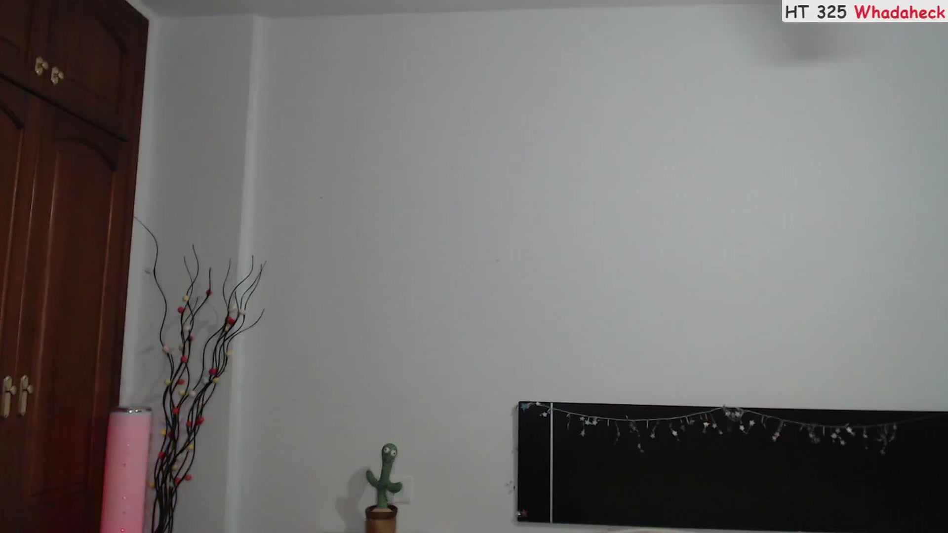 Gallery image thumbnail from Deeleerious's myfreecams stream on, 08/14/2023, 24:59 image 15 of 20