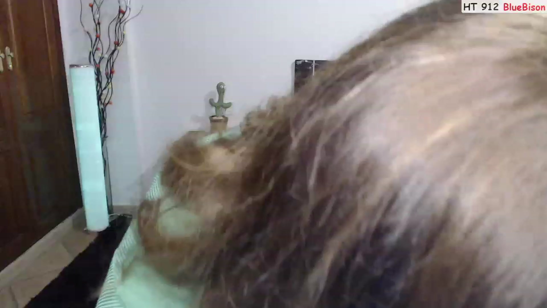 Gallery image thumbnail from Deeleerious's myfreecams stream on, 08/26/2023, 24:43 image 20 of 20