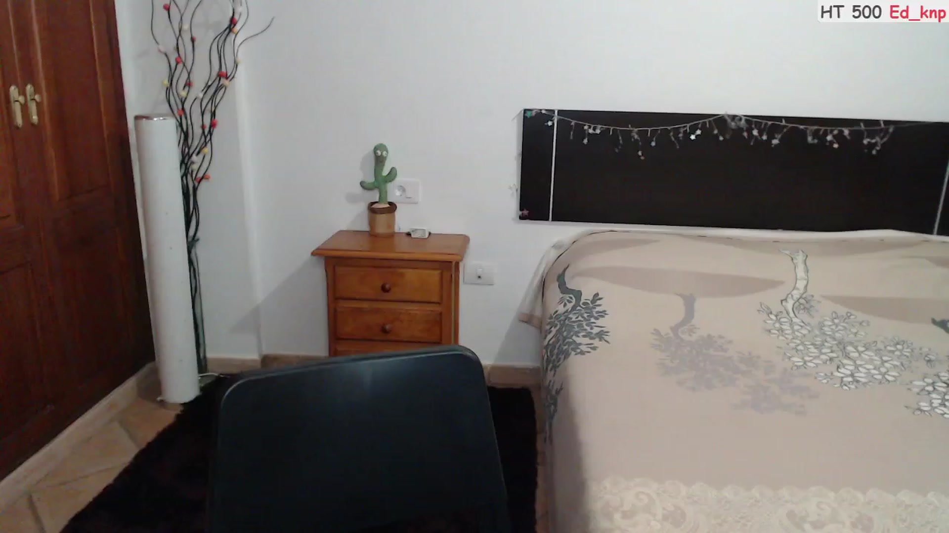 Gallery image thumbnail from Deeleerious's myfreecams stream on, 08/28/2023, 24:03 image 14 of 20