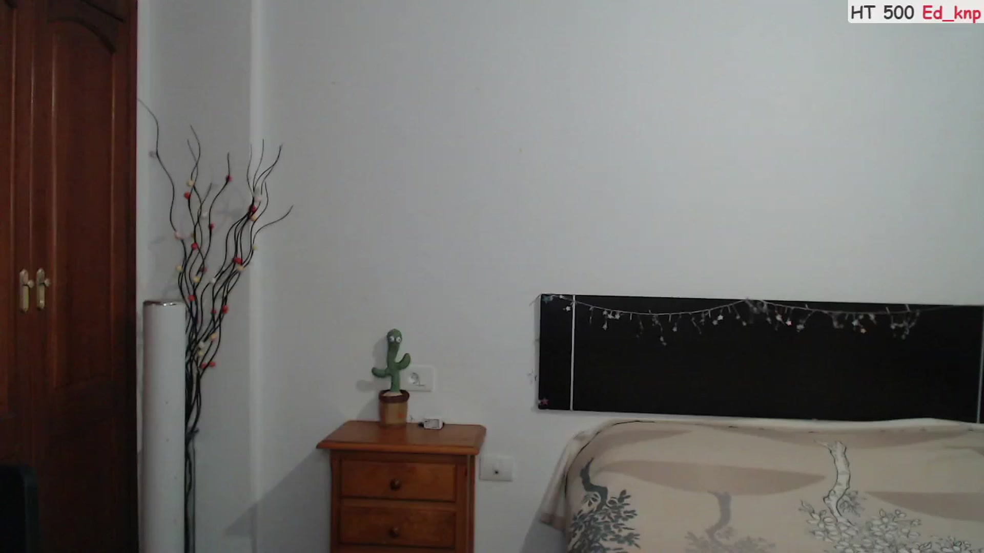 Gallery image thumbnail from Deeleerious's myfreecams stream on, 08/28/2023, 24:03 image 10 of 20