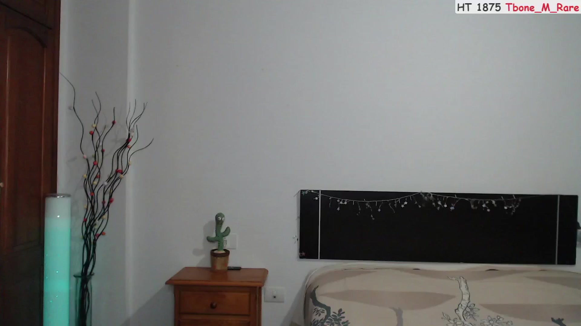 Gallery image thumbnail from Deeleerious's myfreecams stream on, 09/02/2023, 24:50 image 8 of 20