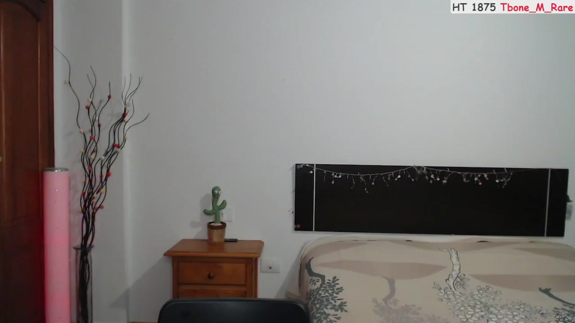 Gallery image thumbnail from Deeleerious's myfreecams stream on, 09/02/2023, 24:50 image 18 of 20