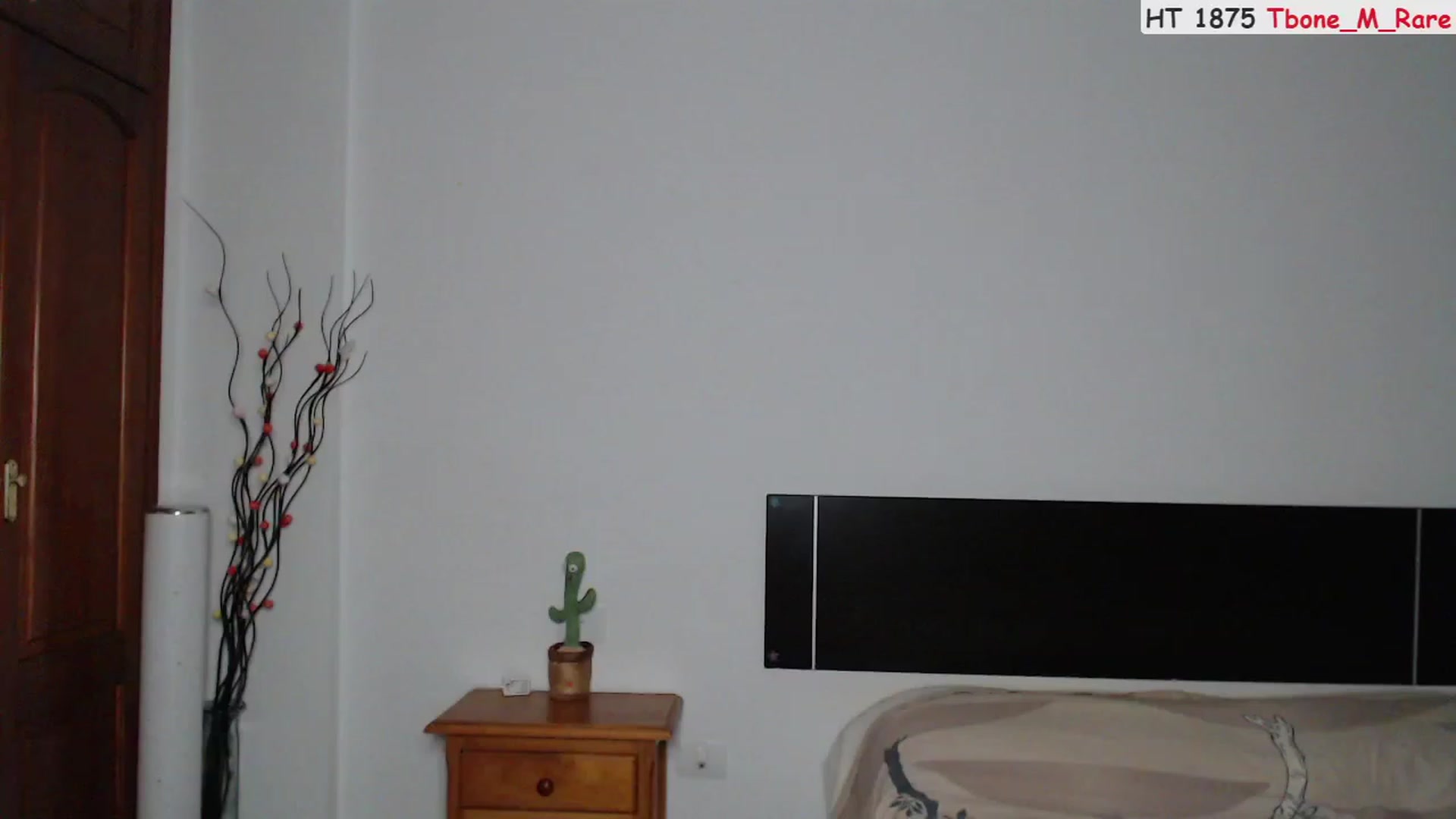 Gallery image thumbnail from Deeleerious's myfreecams stream on, 09/09/2023, 23:33 image 14 of 20