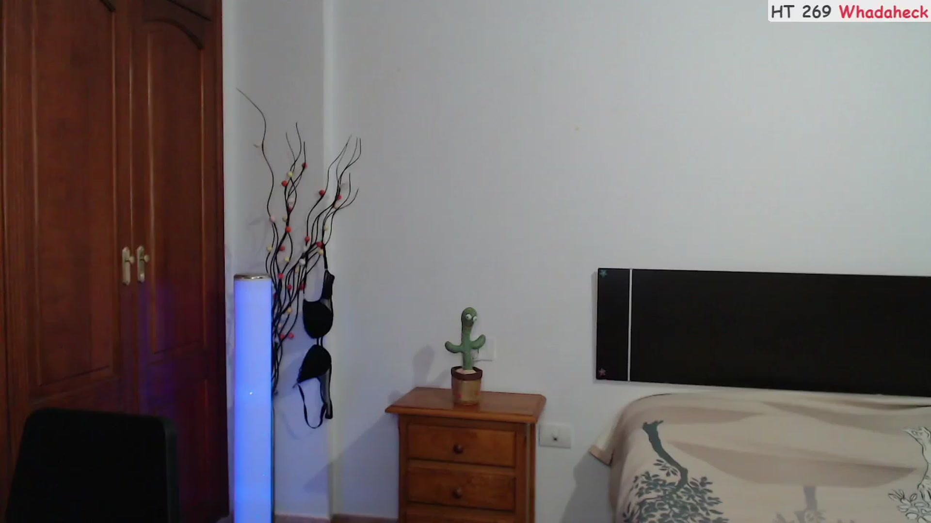 Gallery image thumbnail from Deeleerious's myfreecams stream on, 10/16/2023, 24:02 image 3 of 20