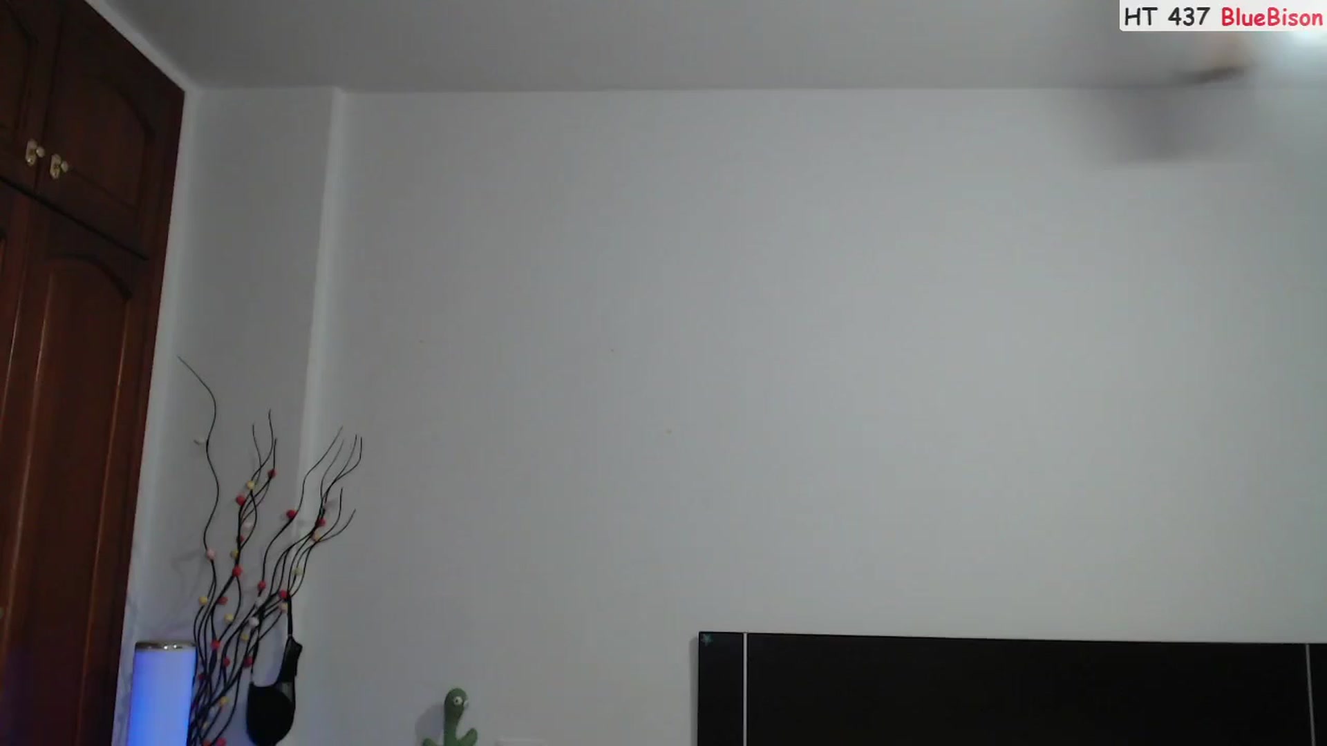 Gallery image thumbnail from Deeleerious's myfreecams stream on, 10/22/2023, 23:56 image 12 of 20