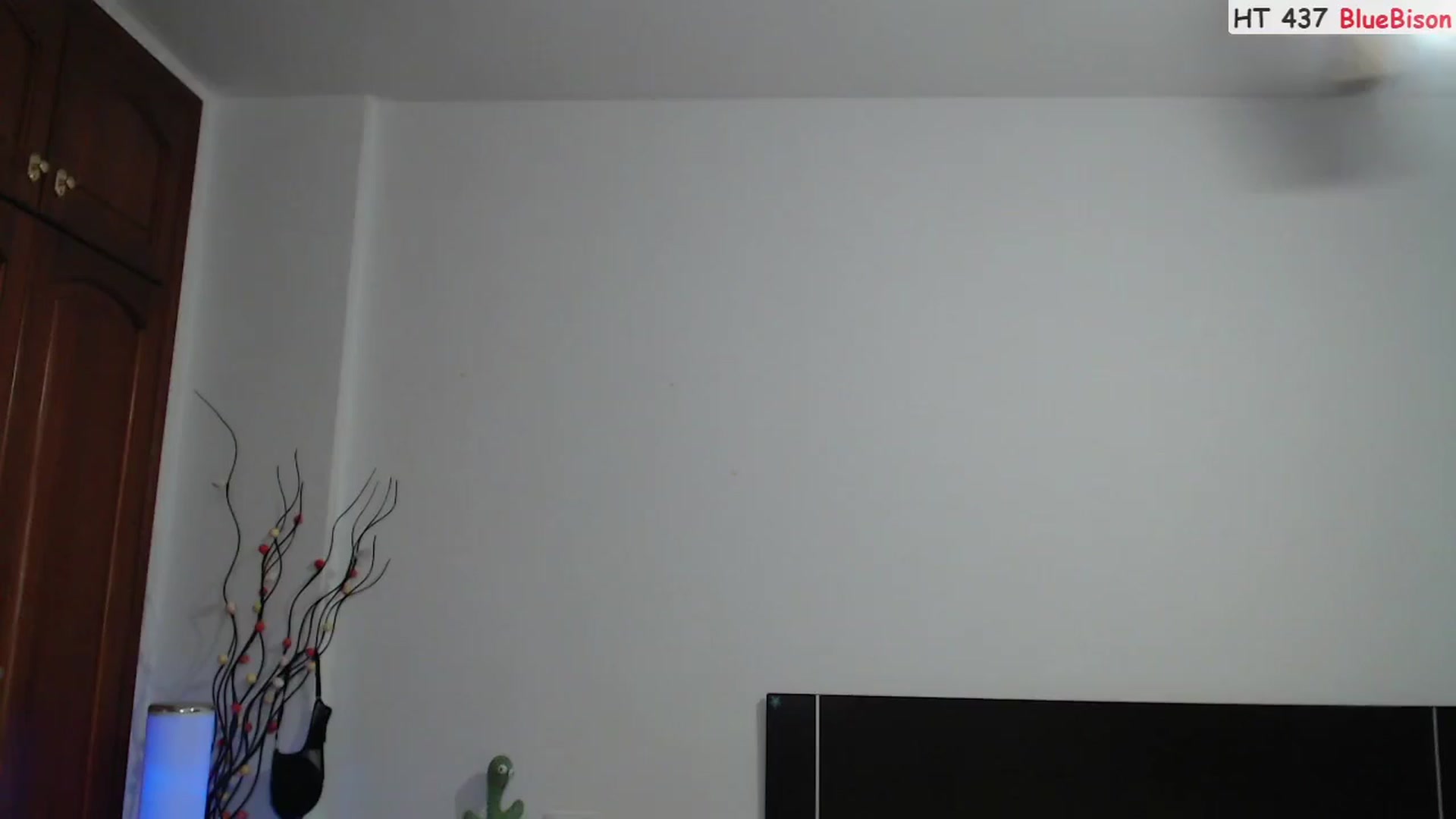 Gallery image thumbnail from Deeleerious's myfreecams stream on, 10/22/2023, 23:56 image 10 of 20