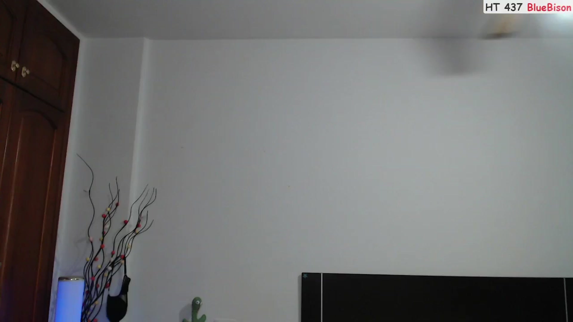Gallery image thumbnail from Deeleerious's myfreecams stream on, 10/22/2023, 23:56 image 11 of 20
