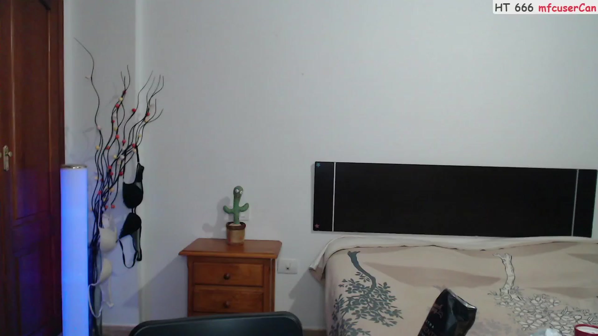Gallery image thumbnail from Deeleerious's myfreecams stream on, 10/29/2023, 01:23 image 5 of 20