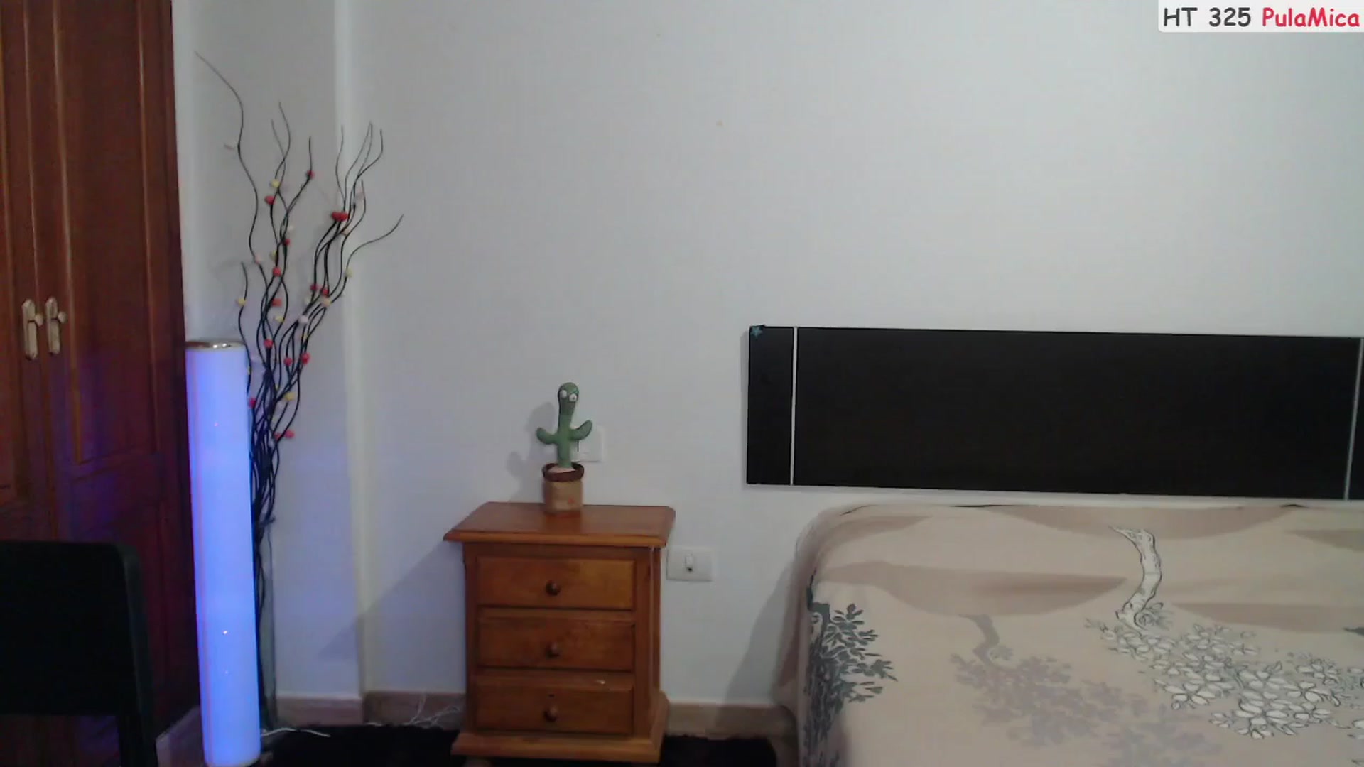 Gallery image thumbnail from Deeleerious's myfreecams stream on, 11/13/2023, 01:44 image 4 of 20