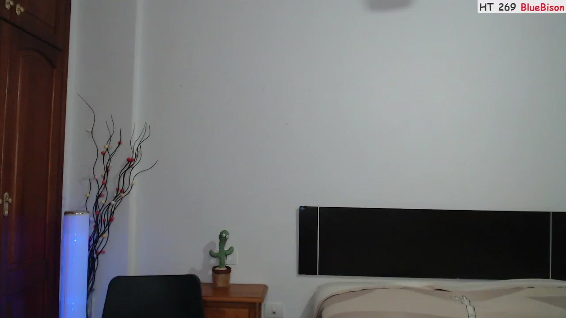 Gallery image thumbnail from Deeleerious's myfreecams stream on, 11/19/2023, 24:47 image 17 of 20