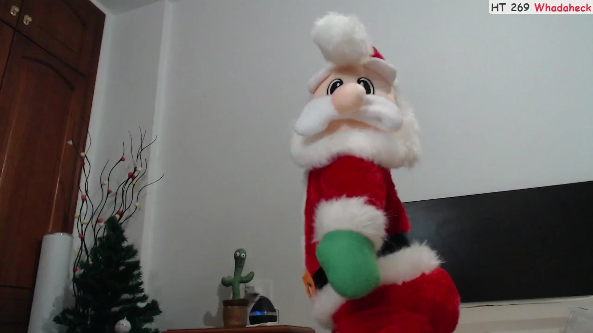 Gallery image thumbnail from Deeleerious's myfreecams stream on, 12/02/2023, 02:07 image 4 of 20