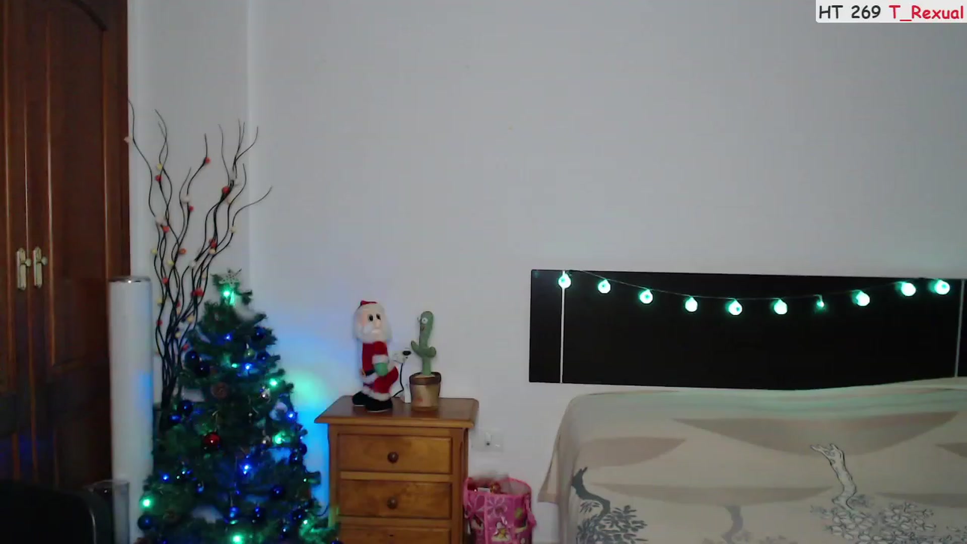 Gallery image thumbnail from Deeleerious's myfreecams stream on, 12/09/2023, 24:17 image 13 of 20