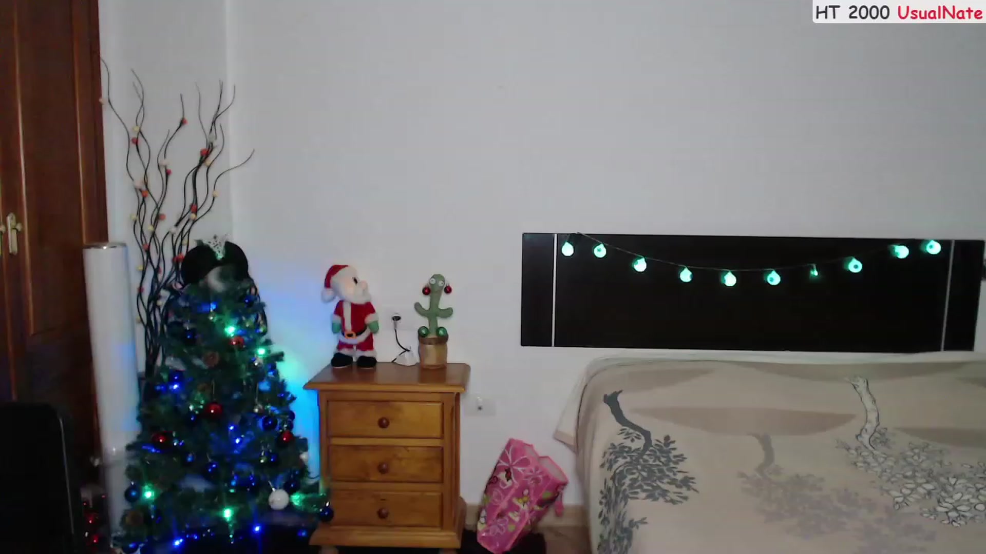 Gallery image thumbnail from Deeleerious's myfreecams stream on, 12/18/2023, 24:27 image 13 of 20