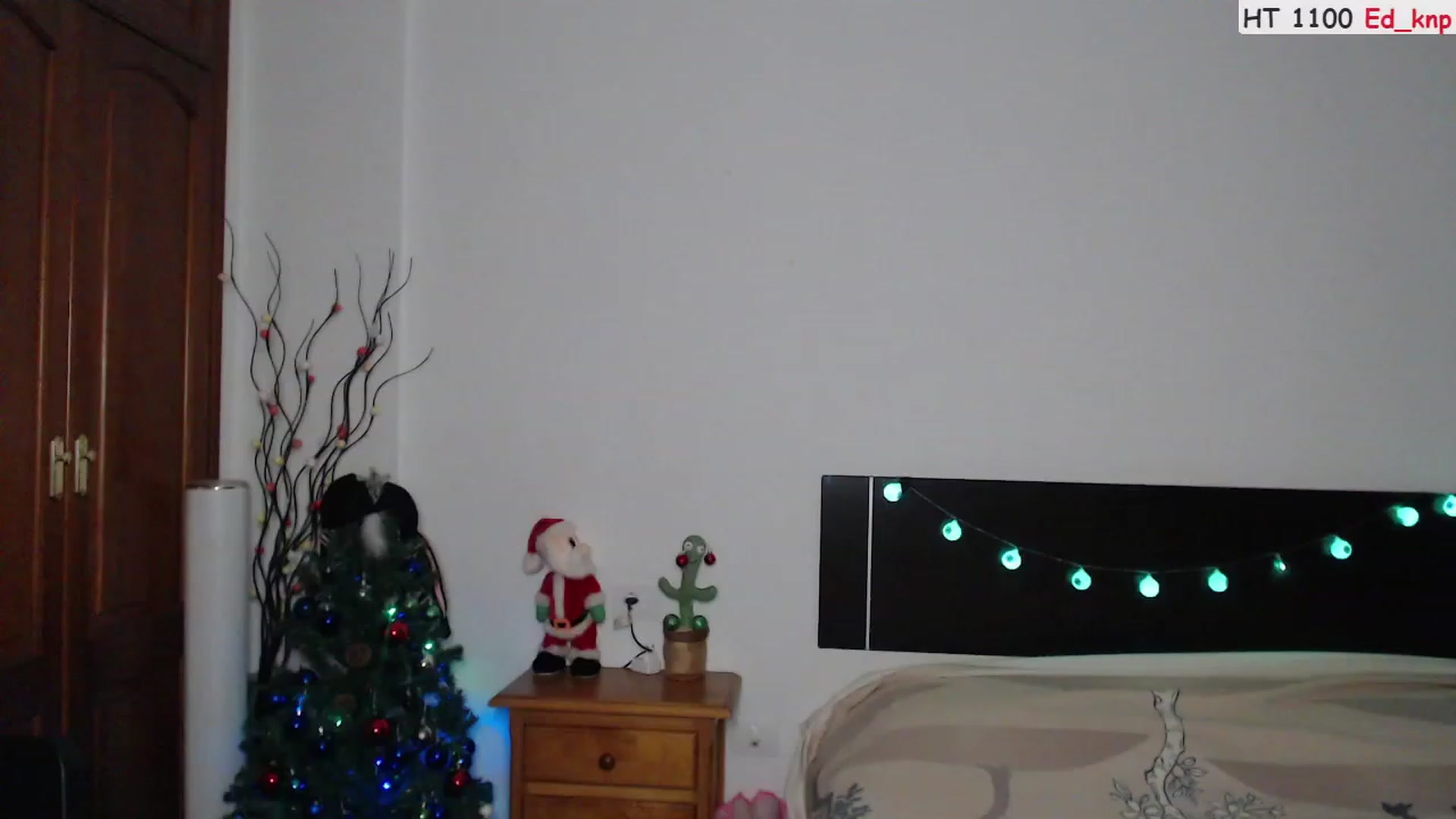Gallery image thumbnail from Deeleerious's myfreecams stream on, 12/24/2023, 24:33 image 4 of 20