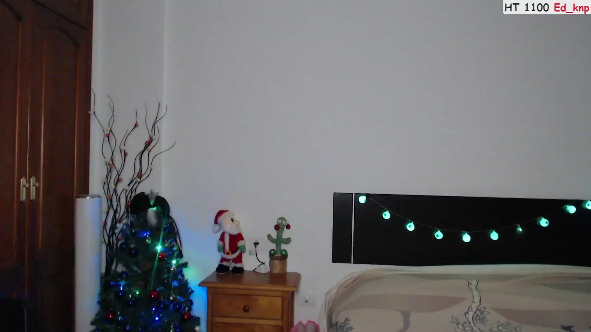 Gallery image thumbnail from Deeleerious's myfreecams stream on, 12/24/2023, 24:33 image 5 of 20