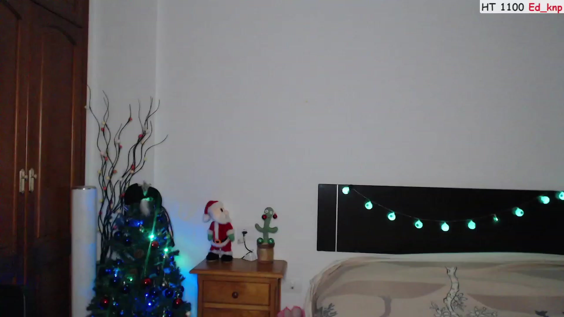 Gallery image thumbnail from Deeleerious's myfreecams stream on, 12/24/2023, 24:33 image 3 of 20